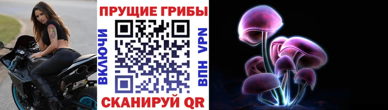 Галлюциногенные грибы мухоморы  Купить закладки  Касимов 